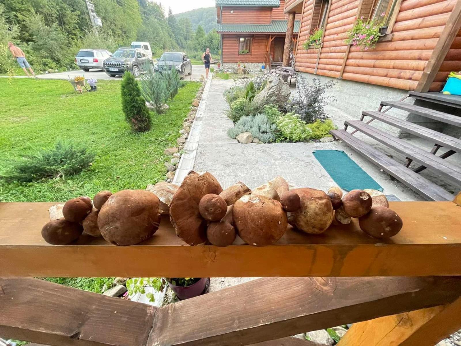 Villa Na Uzlissi Myhowe
