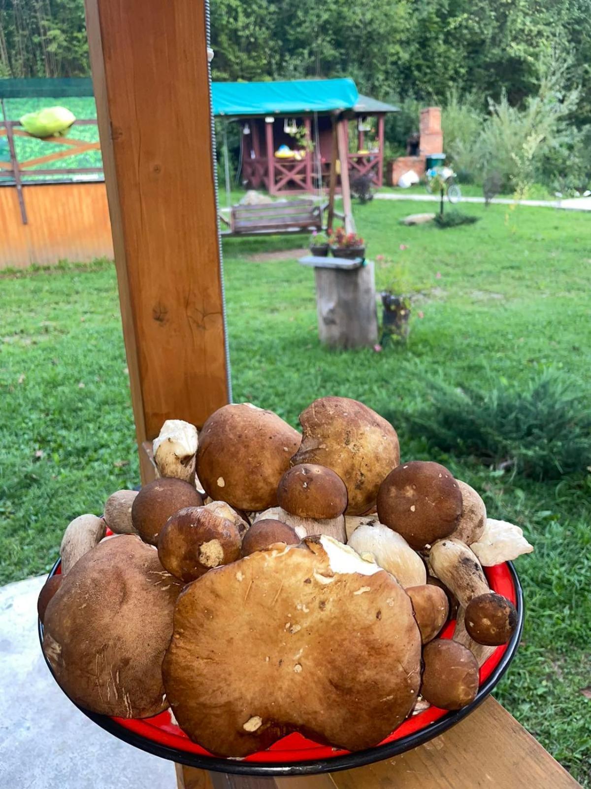 Na Uzlissi * Myhowe